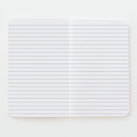 Grab N' Go: Gold Foil "Plans" with Lines