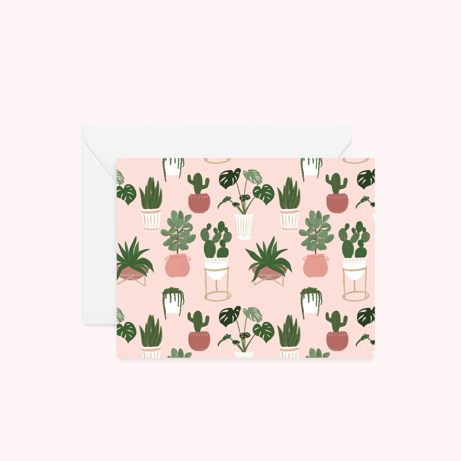 House Plants