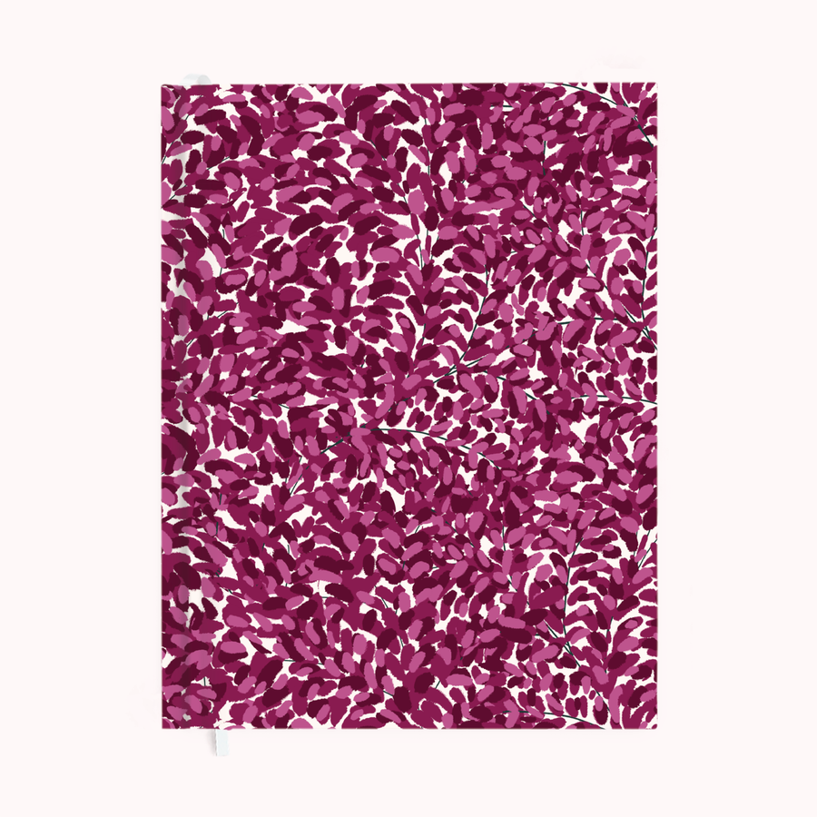 Magenta Celosia